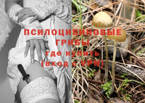 скорость Баксан