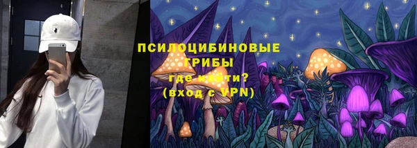 трава Аркадак