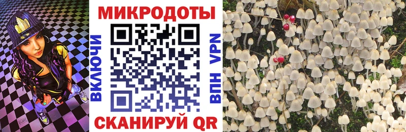 нарко площадка Telegram  купить наркоту  Нижний Ломов  Галлюциногенные грибы мицелий 
